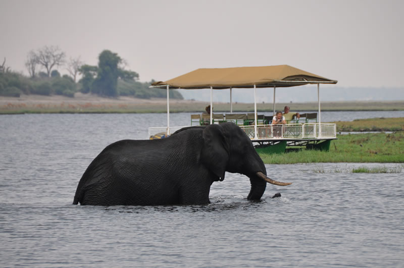 Chobe-2-Day-1-Night-Safari-7.jpg