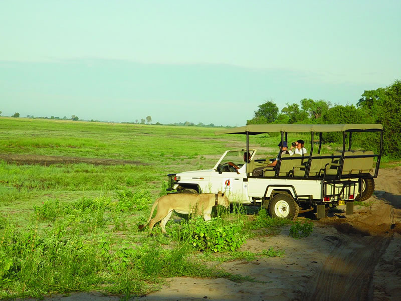 Chobe-Day-Trip-5.jpg