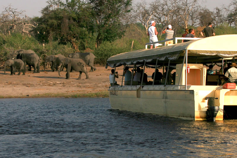 Chobe-Day-Trip-9.jpg