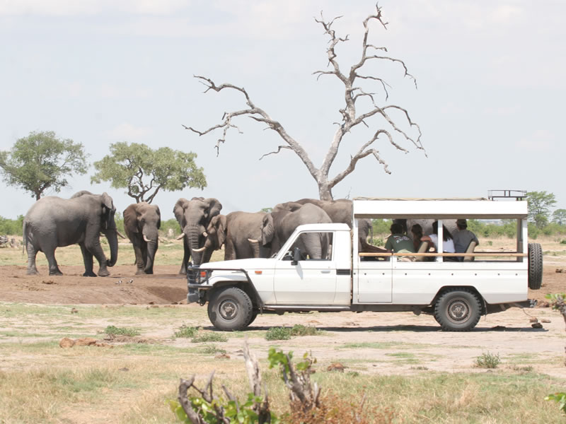 Hwange-Mobile-Camping-Safari-7-Days.7.jpg