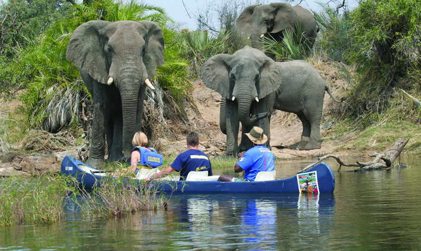 Upper-Zambezi-Canoe-Safari-3.jpg