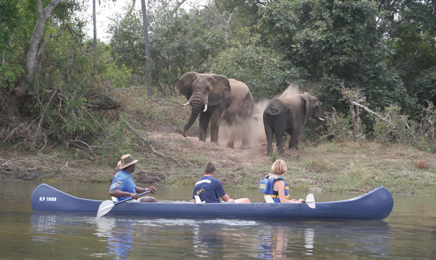Upper-Zambezi-Canoe-Safari-4.jpg