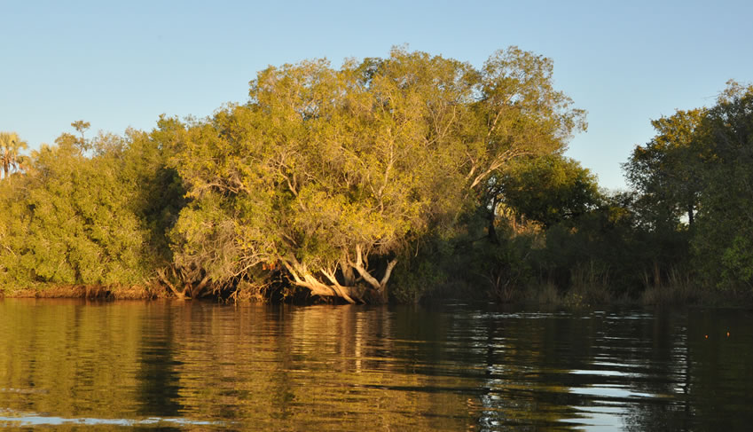 Upper-Zambezi-Canoe-Safari-6.jpg