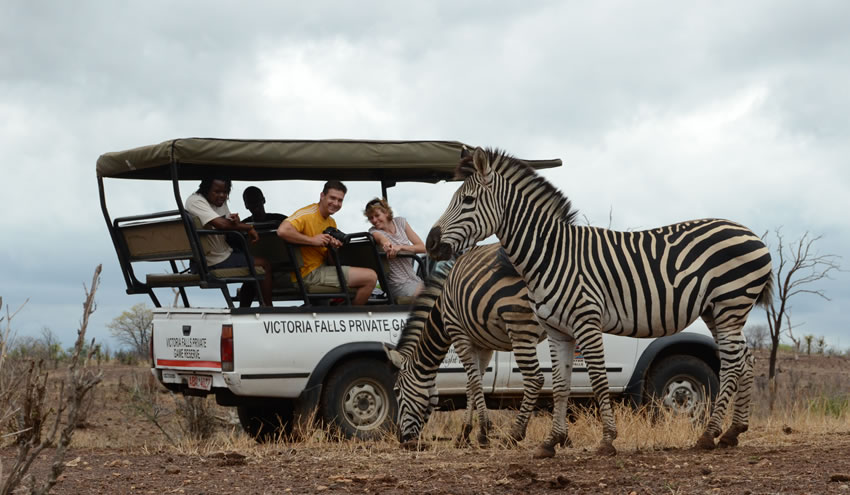 Vic-Falls-Night-Drives-4.jpg