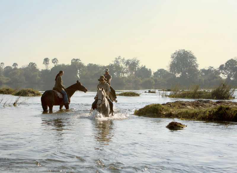 Zambezi-Horse-Trails-4.jpg