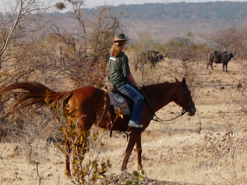 Zambezi-Horse-Trails-5.jpg